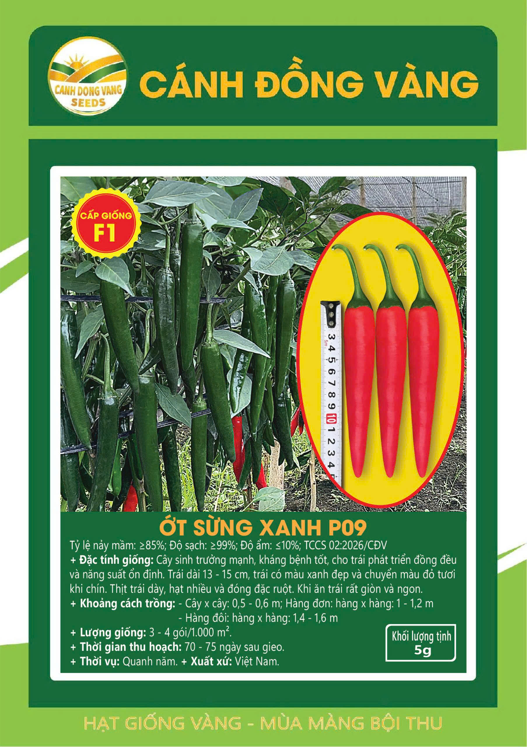 ỚT SỪNG XANH P09